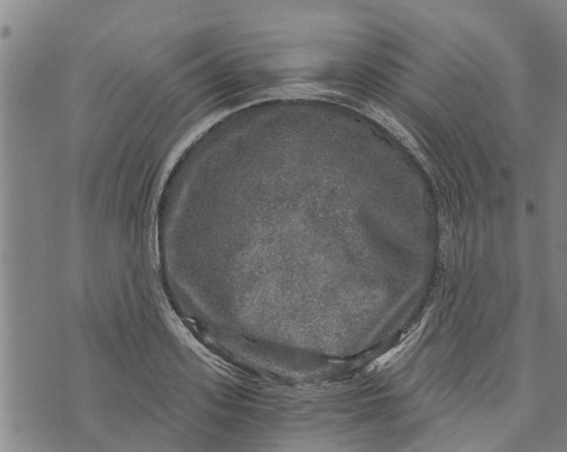 X0000073750939200608241343