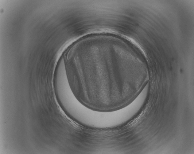 X0000073750943200608241343