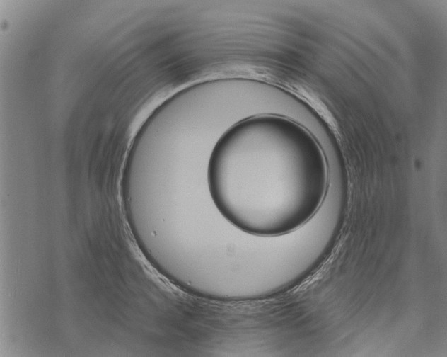 X0000073750944200608241343