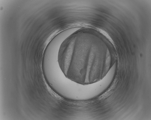 X0000073750946200608241343