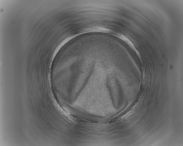 X0000073750947200608241344