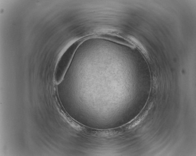 X0000073750948200608241344