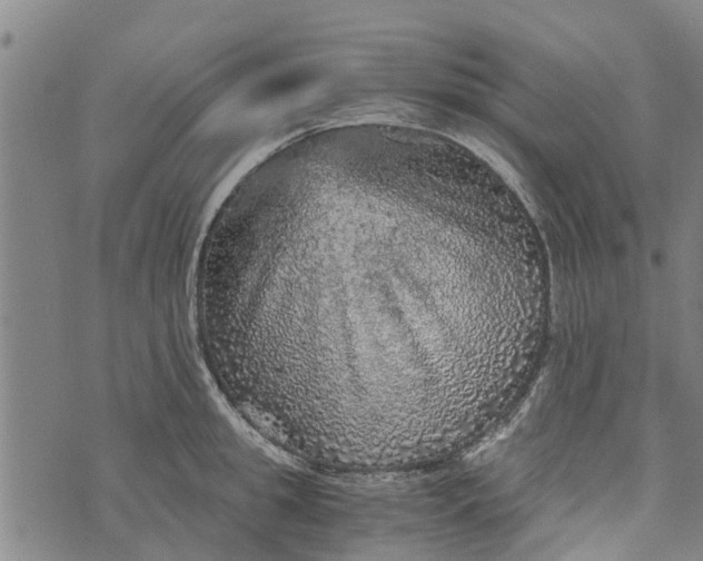 X0000073750949200608241344