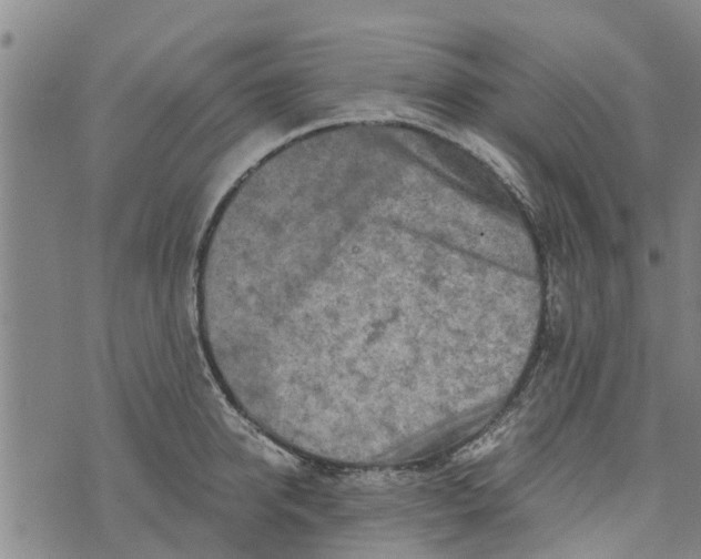 X0000073750950200608241344