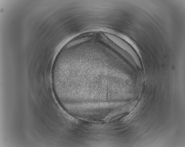 X0000073750951200608241344