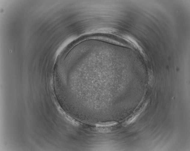 X0000073750952200608241344