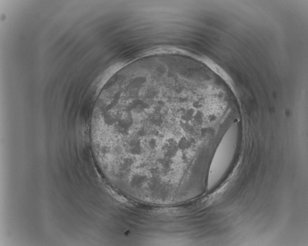 X0000073750953200608241344