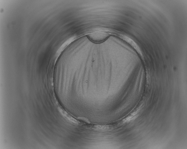 X0000073750954200608241344