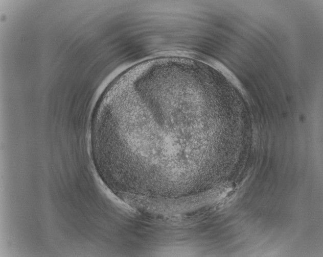 X0000073750955200608241344