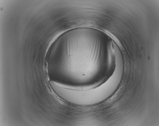 X0000073750956200608241344