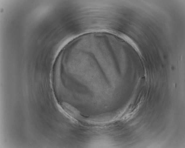 X0000073750958200608241344