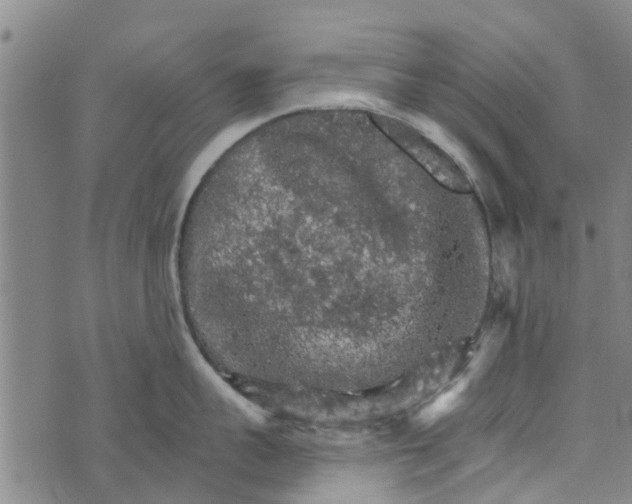 X0000073750959200608241344