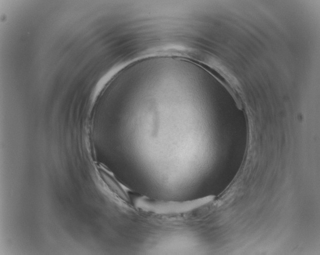 X0000073750960200608241344