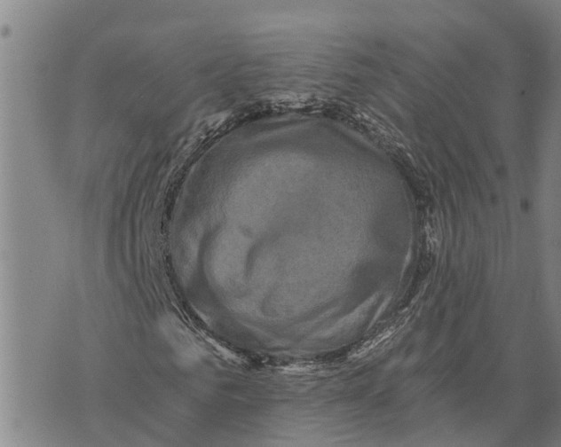 X0000073750961200608241343