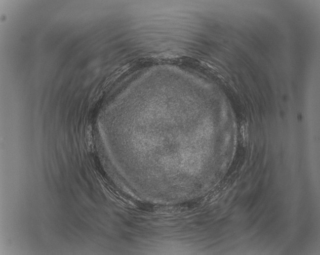 X0000073750963200608241343