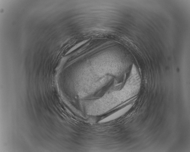 X0000073750964200608241343