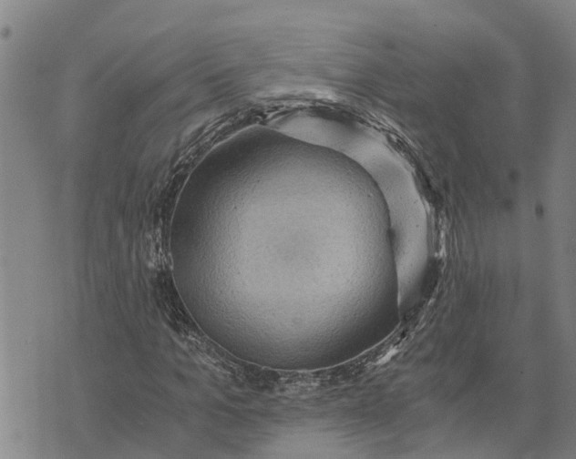 X0000073750965200608241343