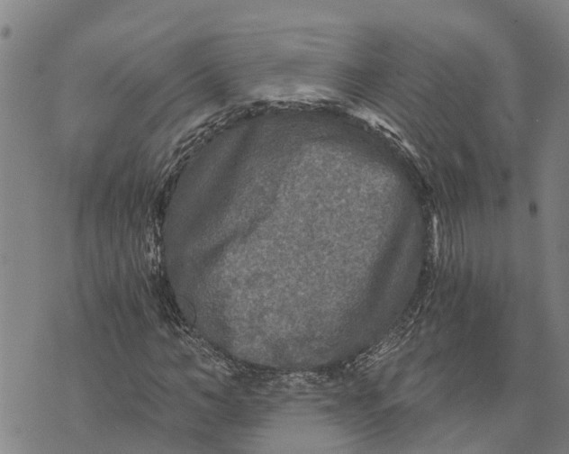 X0000073750966200608241343