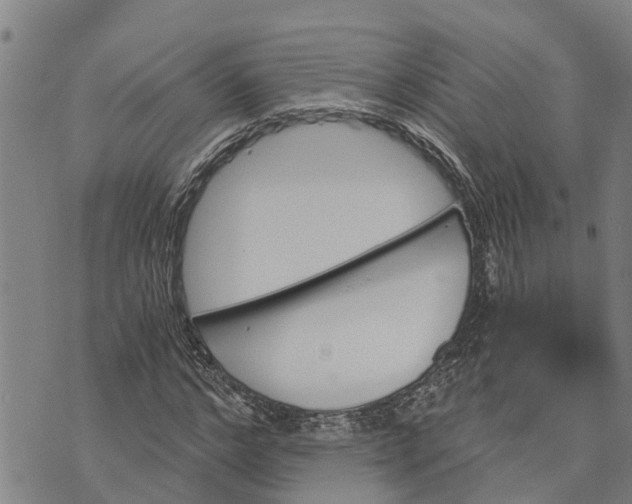 X0000073750968200608241343