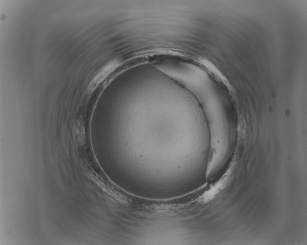 X0000073750969200608241343