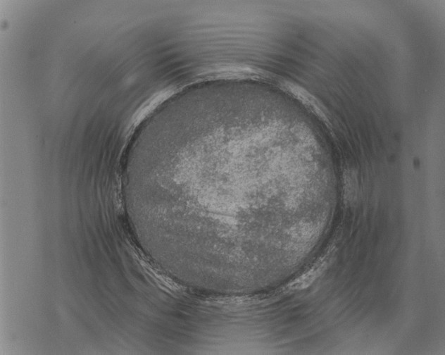 X0000073750970200608241343