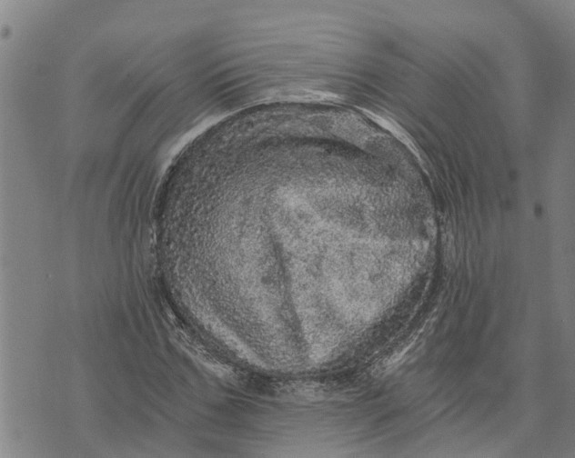 X0000073750971200608241343