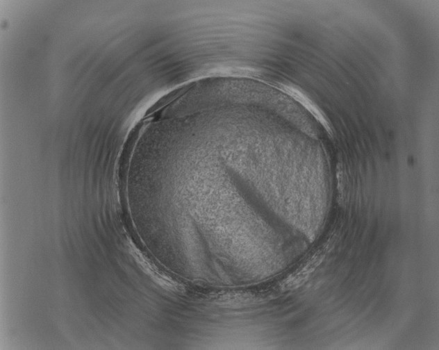 X0000073750972200608241343