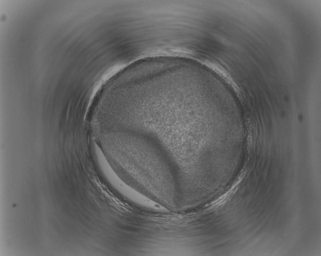 X0000073750974200608241343