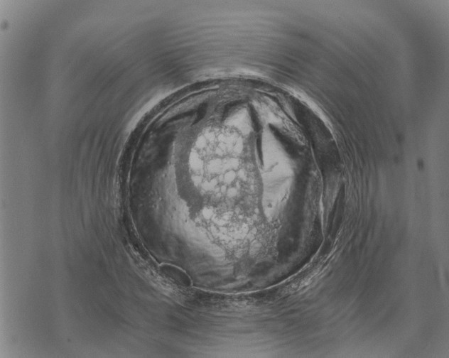 X0000073750975200608241343