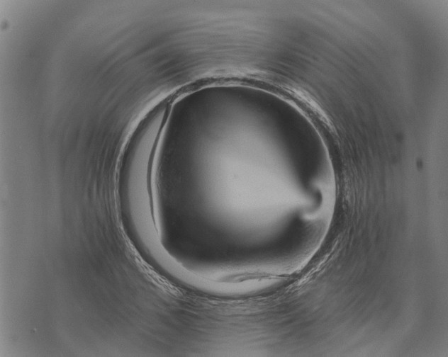 X0000073750976200608241343