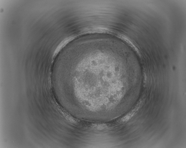 X0000073750978200608241343