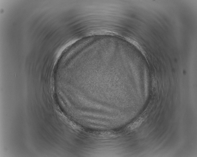 X0000073750979200608241343