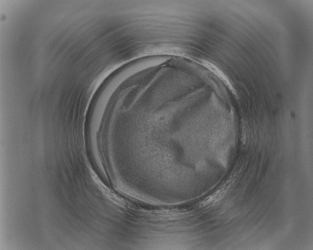 X0000073750980200608241343