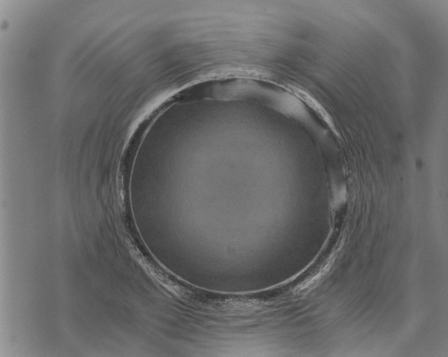 X0000073750981200608241343