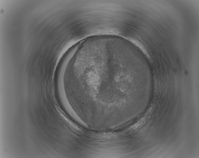 X0000073750982200608241343