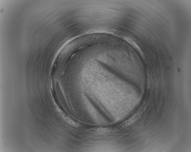 X0000073750984200608241343