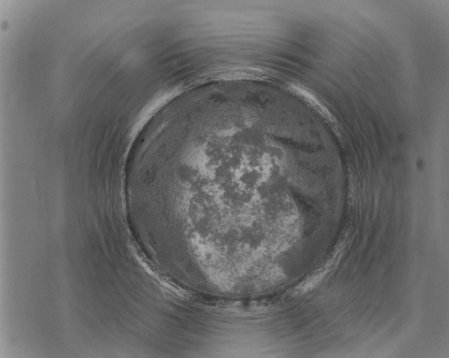 X0000073750986200608241343