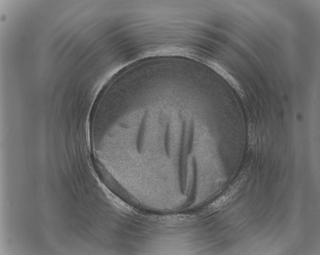 X0000073750988200608241342