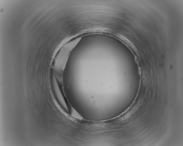 X0000073750989200608241342