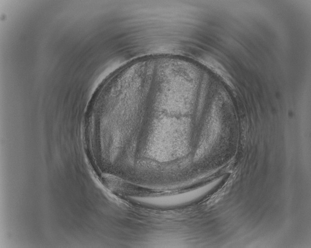 X0000073750991200608241342