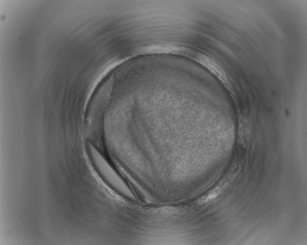 X0000073750992200608241342