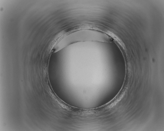 X0000073750993200608241342