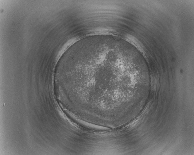 X0000073750994200608241342