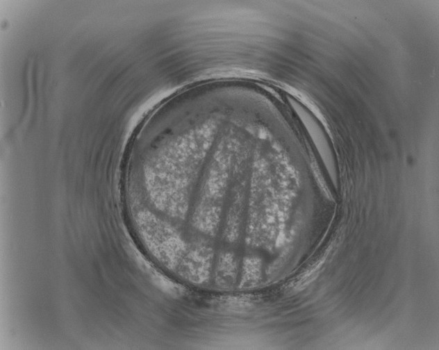 X0000073750995200608241342