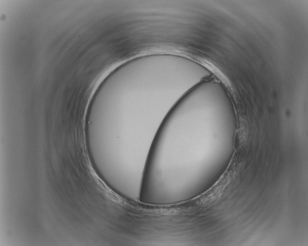 X0000073750996200608241342