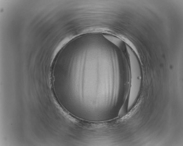 X0000073750997200608241342