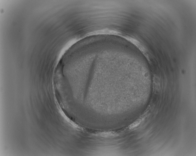 X0000073750998200608241342