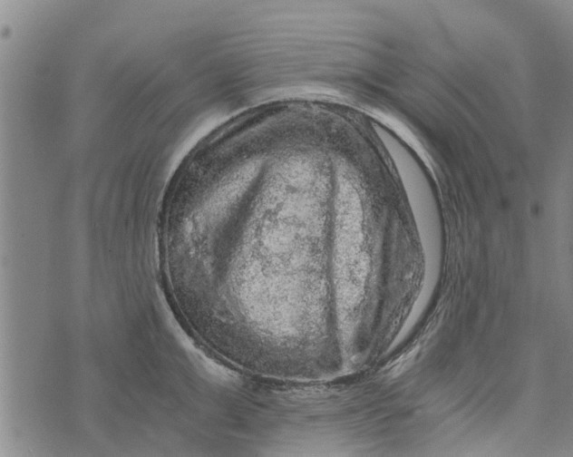 X0000073750999200608241342