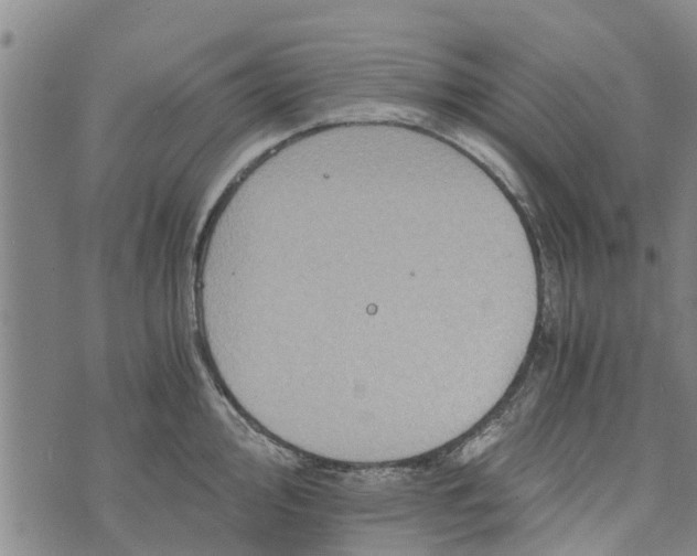 X0000073751000200608241342