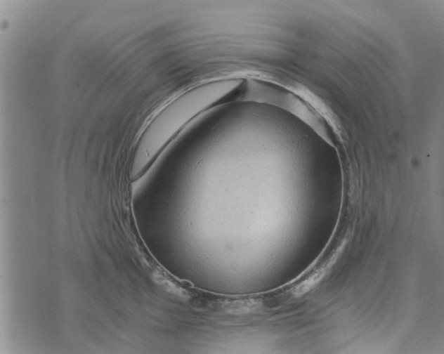 X0000073751001200608241342